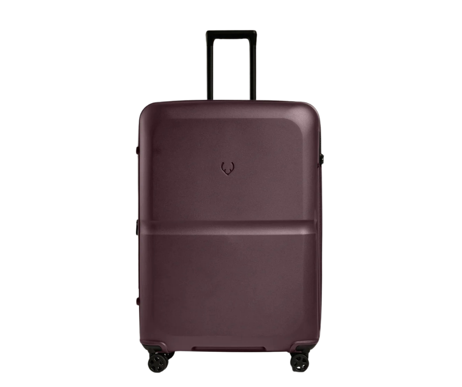 ANTLER Large Suitcase In Lagoon Purple - Single Stripe