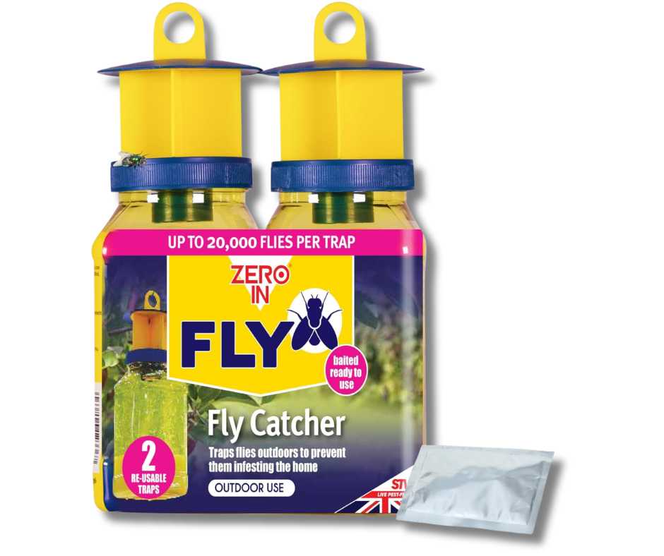 outdoor fly catcher